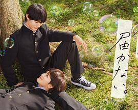 网站首页优化怎么样